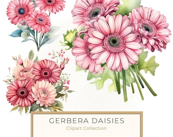 10 Pink Gerbera Daisy Watercolor Clipart, Vibrant Floral Digital Art for DIY Crafting, Card Design, Transparent Background,  Commercial Use