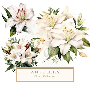 10 Aquarell Blumenstrauß mit Rosen und weißen Lilien - Perfekt für DIY Handwerk, Scrabooking, Hochzeitspapeterie, kommerzielle Nutzung, JPG, PNG