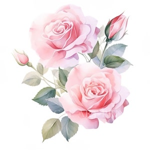Pink Rose Clipart, Bouquet Clipart, Watercolor Flowers, Pink Roses ...