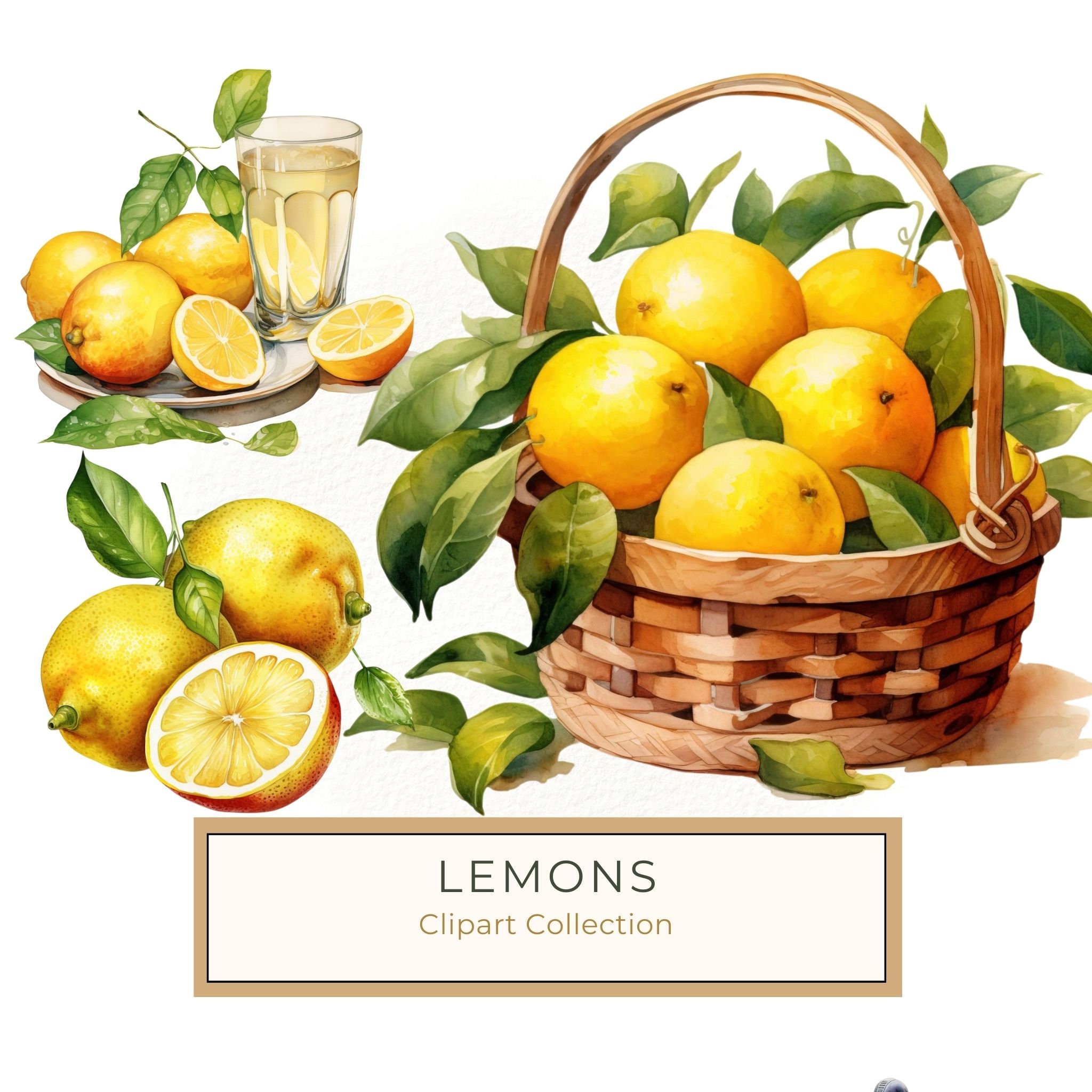 Watercolor Lemon Clipart: Fruit Basket, Lemon Juice (PNG JPG)