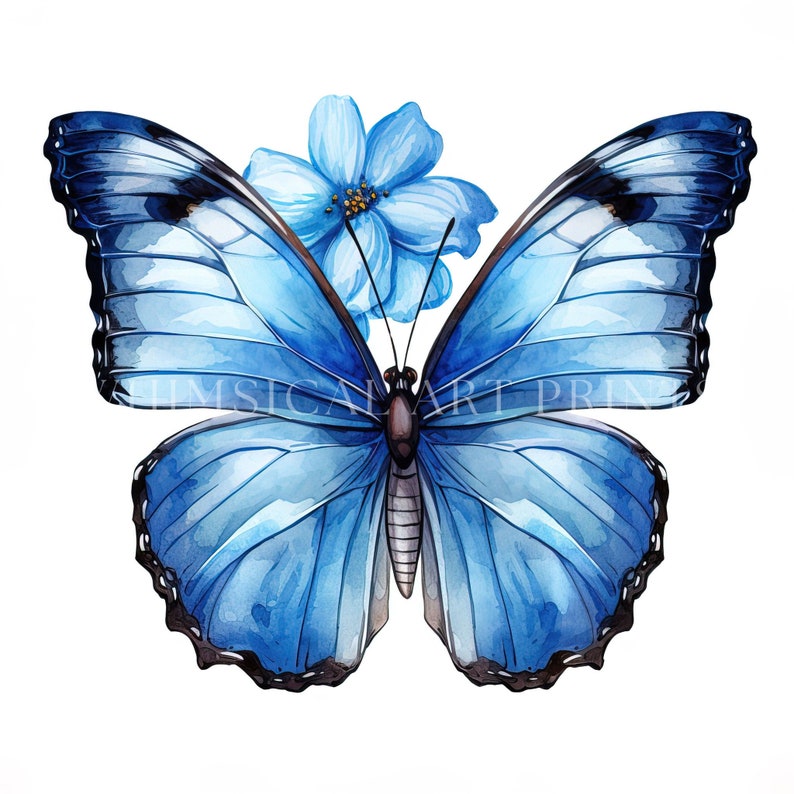 Blue Morpho Butterfly Clipart, Blue Butterfly PNG, Watercolor ...