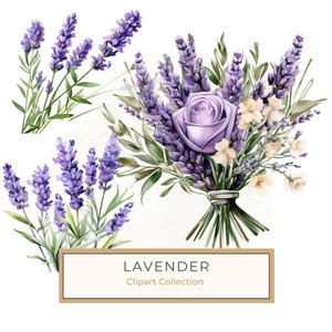 10 Elegant Purple Lavender Watercolor Illustration Clipart  for DIY Projects, Floral Graphics for Scrapbooking, Sublimation, Commercial Use