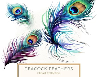 Watercolor Peacock Feather Clipart: PNG, JPG, Commercial Use (Digital Download)
