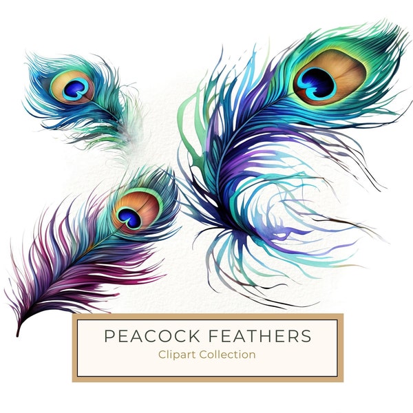 Peacock feather Clipart,  Watercolor Peacock feather PNG, Feather Drawing Wall Art Printable, Commercial Use, 10 High Quality 300 DPI JPG