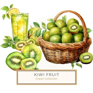 Kiwi Drink Aquarell Clipart: Tropische Früchte (PNG, JPG)