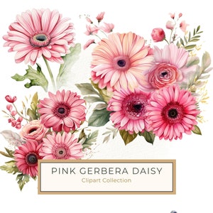 Roze gerbera madeliefje boeket clipart, aquarel madeliefjes png, bloemstuk kunst afdrukbare, commercieel gebruik 10 hoge kwaliteit 300 dpi jpg