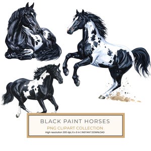 May include: Watercolor illustrations of black and white paint horses in various poses. One horse is rearing up, another is lying down, and a third is running. The image includes the text "BLACK PAINT HORSES PNG CLIPART COLLECTION".