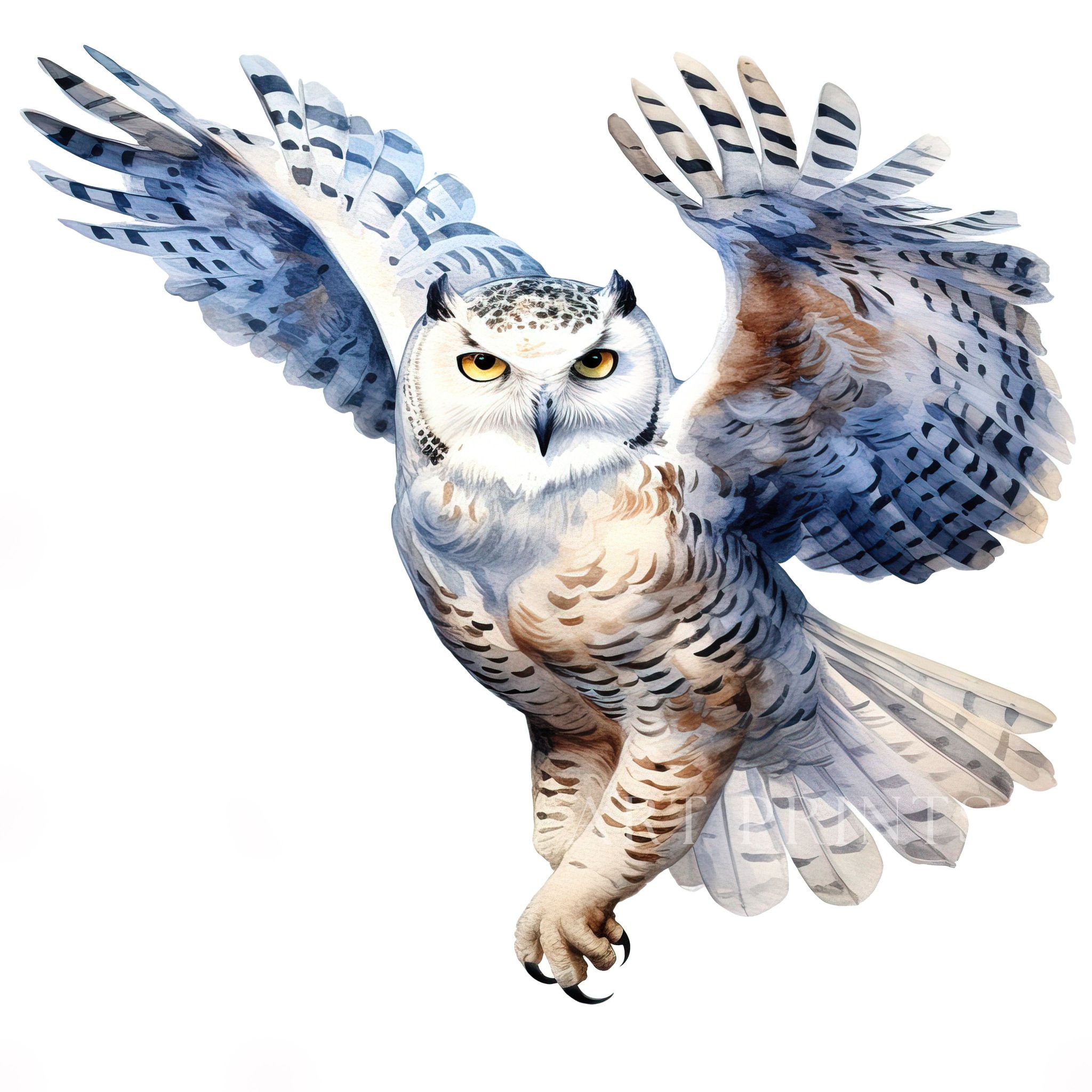 Snowy Owl Clipart, Bird Clipart, Watercolor Snowy Owls, Owls ...