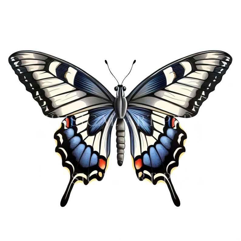 Swallowtail Butterfly Clipart, Butterfly Graphics, Watercolor Butterflies, Art Printable ...
