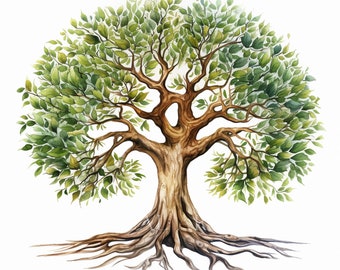 Mystisch alter Baum Clipart, Komplizierte Baum Designs, Mystischer Baum, Stammbaum, Natürliche Baumwurzeln, Kommerzielle Nutzung 10 Hochwertige JPG PNG