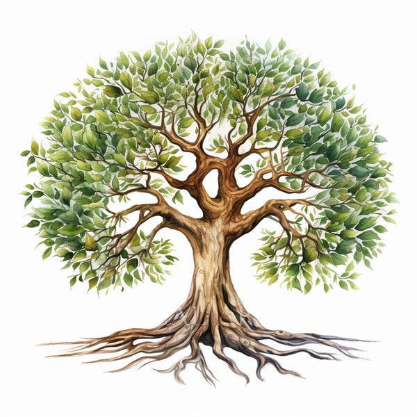 Mystisch alter Baum Clipart, Komplizierte Baum Designs, Mystischer Baum, Stammbaum, Natürliche Baumwurzeln, Kommerzielle Nutzung 10 Hochwertige JPG PNG