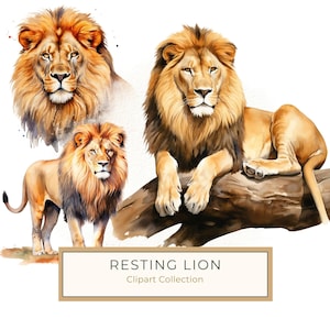 10 clipart de leões em aquarela, retrato realista de leão macho, arte de corpo inteiro de leão para impressão para scrapbooking e muito mais, JPGs para uso comercial | PNG
