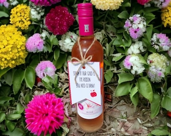 Funny Teacher Wine Tag, End of Term Gift