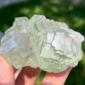 Puede incluir: Un grupo de cristales de fluorita de color verde p&aacute;lido con formaciones c&uacute;bicas, superficies transl&uacute;cidas y bordes geom&eacute;tricos definidos. El esp&eacute;cimen mineral muestra un tono menta claro con claridad interna y facetas reflectantes bajo la luz.