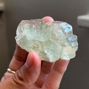 Puede incluir: Un grupo de cristales de fluorita transl&uacute;cidos de color verde p&aacute;lido con estructura c&uacute;bica. El esp&eacute;cimen mineral presenta bordes geom&eacute;tricos afilados y una superficie v&iacute;trea y reflectante con sutiles inclusiones internas y dep&oacute;sitos minerales de color claro.