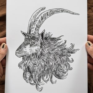 Old English Goat // giclée art print
