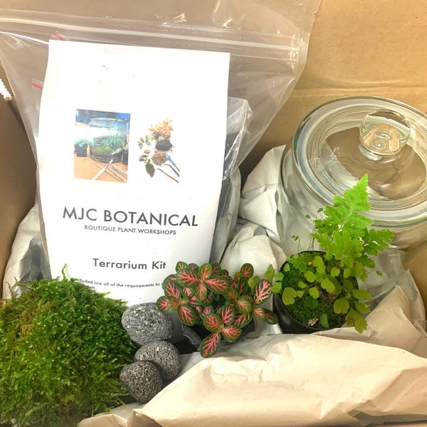 Terrarium Kit Etsy Australia