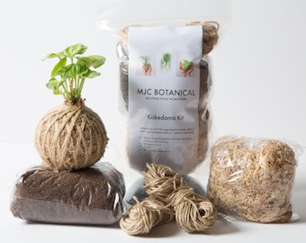 Kokedama Kit