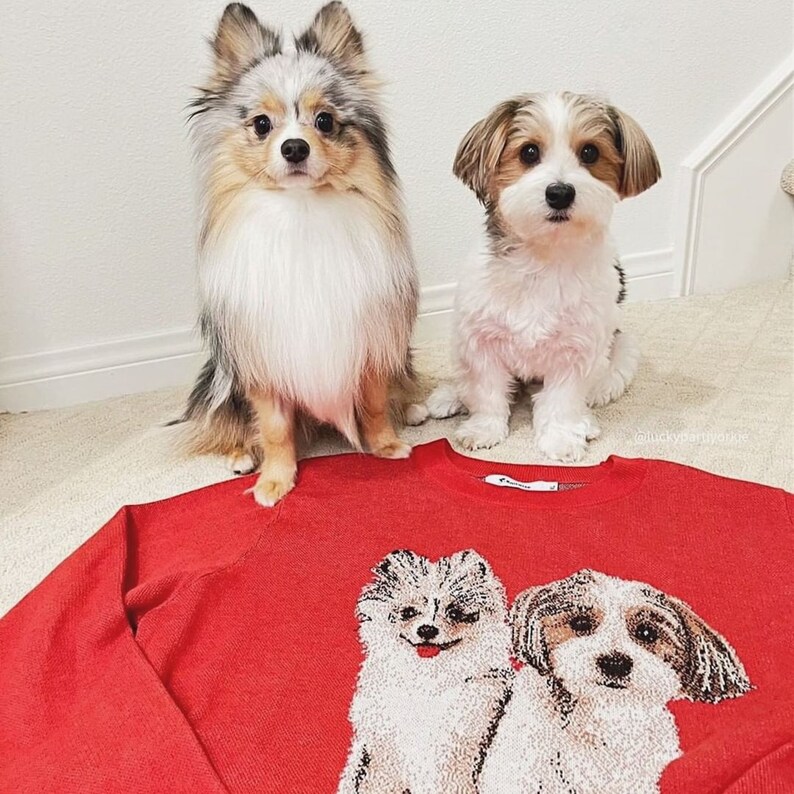 May include: A bright red long-sleeve sweater featuring a knitted graphic of two dogs on the front. The design depicts a fluffy dog on the left and a smaller, shorter-haired dog on the right, mirroring the two live dogs sitting behind the garment.
