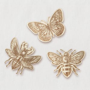 May include: Three wooden cutouts of insects and a butterfly. The butterfly is brown and has a detailed design. The insects are a bee, a beetle, and a dragonfly. All of the cutouts are on a white background.
