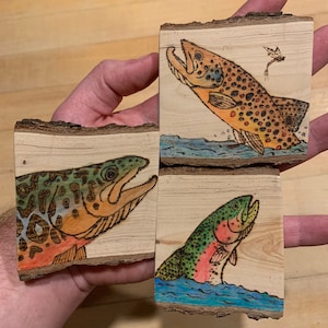 Watercolor Trout