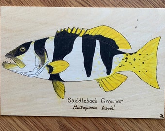 Wood Burned Saddleback Grouper