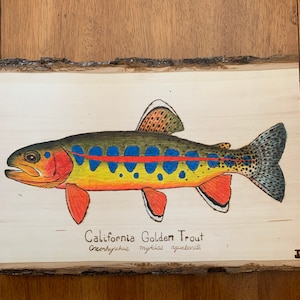 Wood Burned Golden Trout