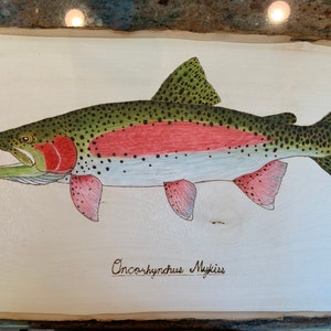 Wood Burned Rainbow Trout