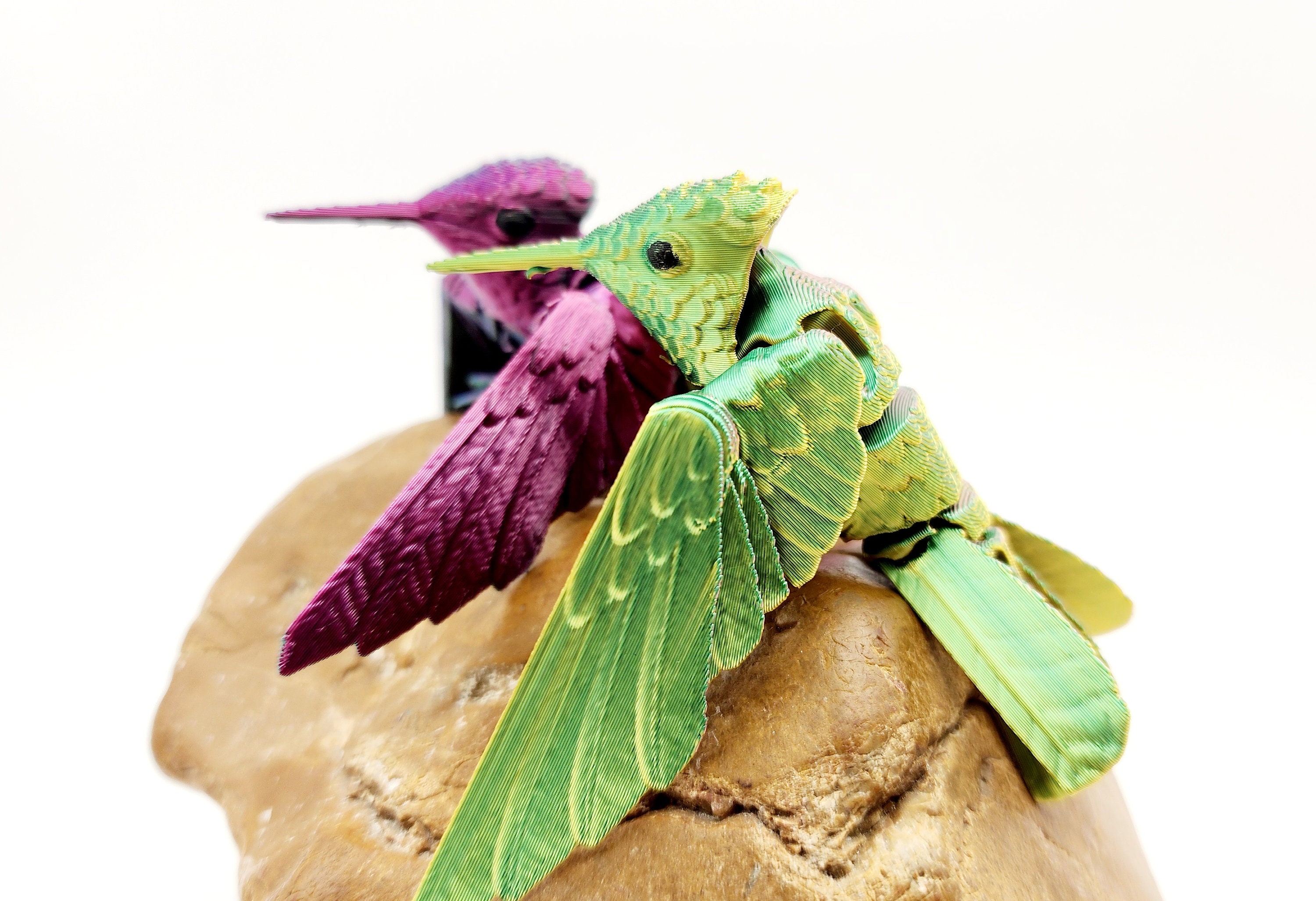 hummingbirds-at-my-local-park-