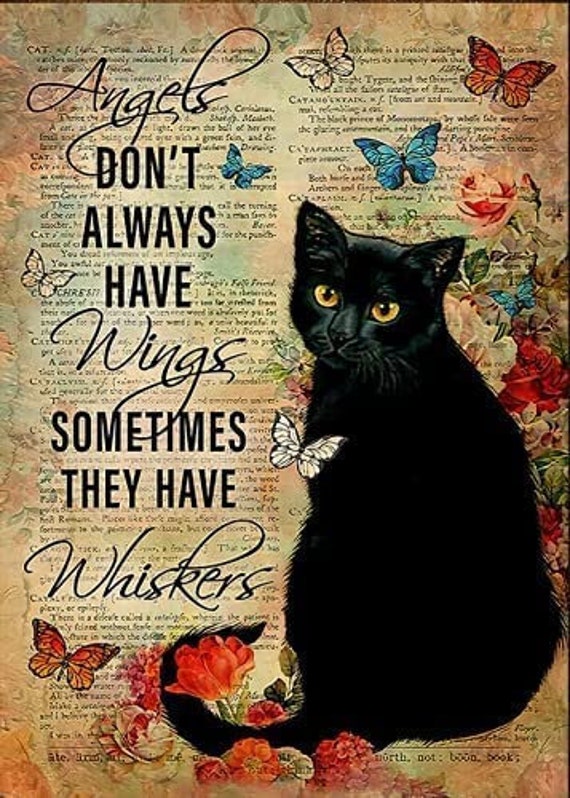 Interface du casino CBet