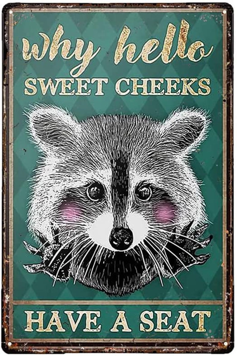Funny Novelty Aluminum Sign Why Hello Sweet Cheeks Have A Seat Raccoon ...
