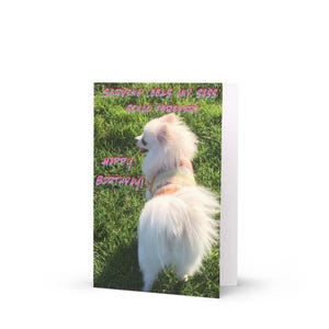 Pomeranian Birthday Card – &quot;Serving Looks and Sass&quot;