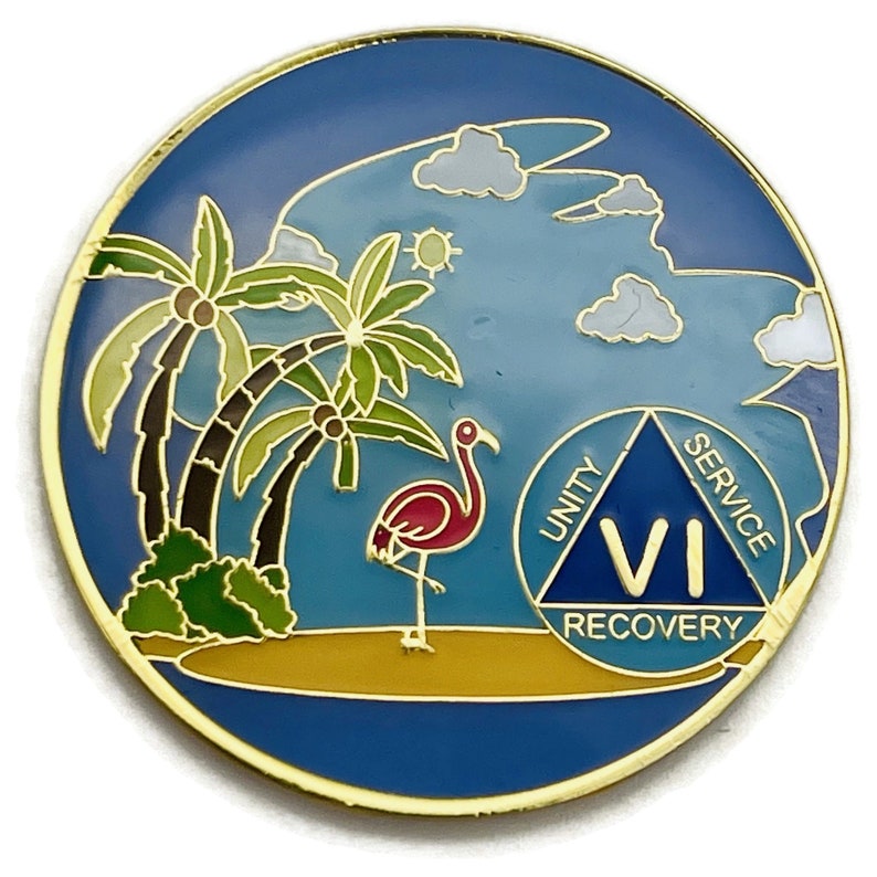 1 to 60 Year Beach Themed Specialty AA Recovery Medallion Tri-Plated Chip/Coin 6 Year
