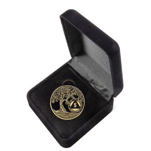 5 Year Sobriety Mint Twisted Tree of Life Gold Plated AA Recovery Medallion - Five Year Chip/Coin - Black + Velvet Case