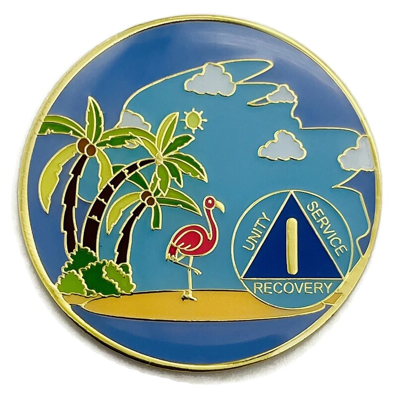 1 to 60 Year Beach Themed Specialty AA Recovery Medallion Tri-Plated Chip/Coin 1 Year