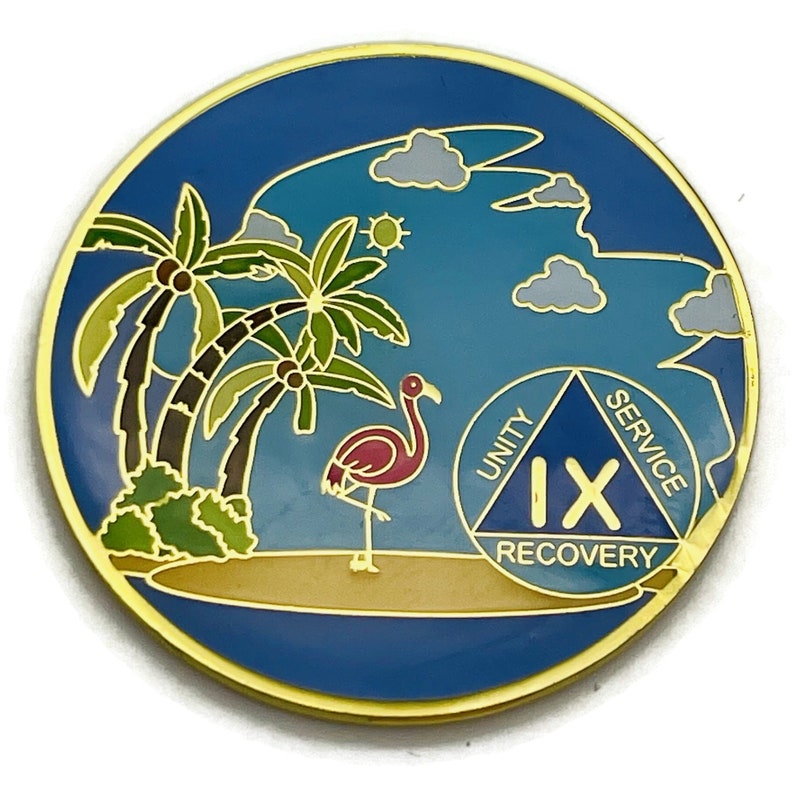 1 to 60 Year Beach Themed Specialty AA Recovery Medallion Tri-Plated Chip/Coin 9 Year