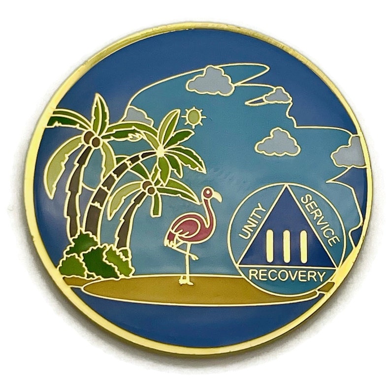 1 to 60 Year Beach Themed Specialty AA Recovery Medallion Tri-Plated Chip/Coin 3 Year