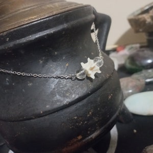 May include: A silver chain necklace with a white bone charm and a clear quartz crystal bead.