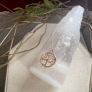 Peut inclure: Un collier pendentif arbre de vie doré posé sur un cristal blanc. Le collier est posé sur un cadre géométrique doré avec des tiges et des feuilles de plantes séchées.