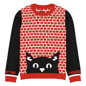 May include: Red and black long-sleeved sweater with a brick pattern on the front and a black cat graphic. The sleeves are black, and the cuffs and neckline are red. The text "OT THE POWER" is printed on the sleeves.