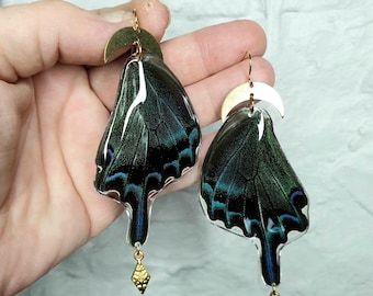 Midnight Pixie Wings, Real Ethically Sourced Lower Wings with Brass recently Moon Connectors & Gold Marquise Charms on 14k Gold Filled Hooks