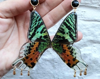 Ethically Sourced Half Sunset Moth Butterflies with Obsidian Connectors & Gold Droplets on 14k Gold Filled Hooks
