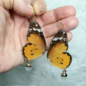 Puede incluir: Un par de pendientes de mariposa dorados con resina transparente y alas de mariposa reales. Cada pendiente tiene un pequeño abalorio de bola de plata que cuelga.