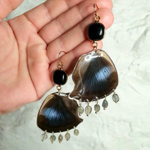 May include: Earrings with a distinctive butterfly wing design. Each earring has a black square stone at the top, connected to a gold-coloured hook. The wings are brown, blue, and iridescent, with small grey beads suspended from the bottom.