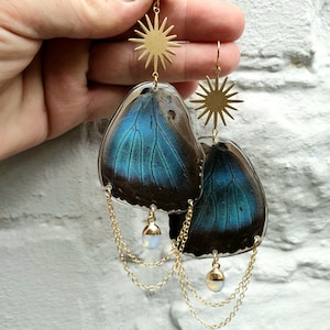 May include: A pair of dangle earrings featuring iridescent blue and black butterfly wing segments encased in clear resin. Each earring includes a gold-toned sunburst charm at the top, two delicate gold chains, and a small round opal-like bead.
