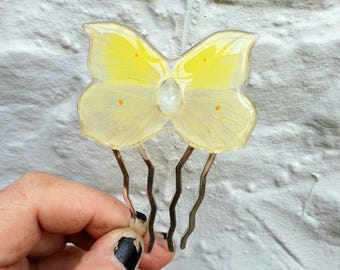 Ethically Sourced Whole Brimstone Butterfly with a Faceted Flashy Moonstone Cabachon on a Medium Silver Iron Hair Comb
