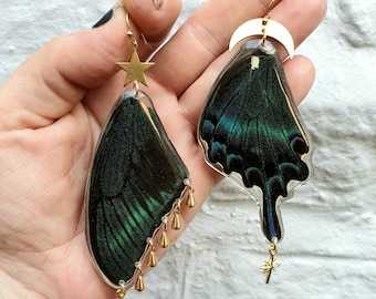 Dark Star Wings, Real Ethically Sourced Butterfly Forwing & Hindwing Mismatched Pair with Gold Charms on 14k Gold Filled Hooks