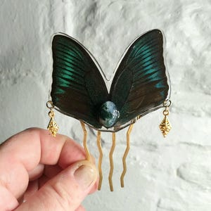 May include: A hair comb featuring a butterfly wing design. The wings are dark with iridescent green and blue accents. A gold-colored comb base holds the wings, with a small gemstone and dangling gold-colored charms.