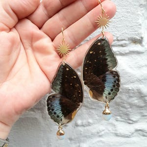 Könnte beinhalten: Ein Paar goldfarbene Ohrhänger mit Schmetterlingsflügel-Designs. Jeder Ohrring hat einen Sonnenstrahl-Anhänger, einen Schmetterlingsflügel mit braunen, blauen und weißen Mustern und eine kleine, runde, weiße Perle. Die Ohrringe sind an einem goldenen Haken befestigt.