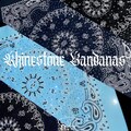 Paisley Rhinestone Bandana: Handmade Cotton Bandana